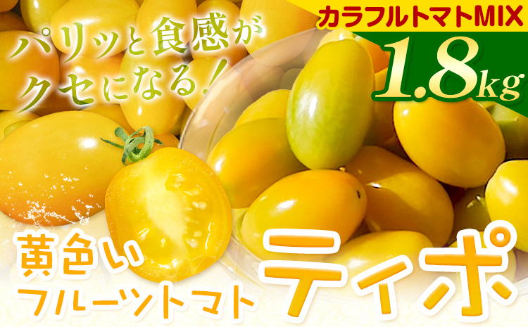 パリッと食感の黄色いフルーツトマト ティポ 900g カラフルトマト 900g ジャム さっぱり 黄色い トマト 野菜 茨城県産 結城市産 国産 さっぱり 酸味が少ない 日持ち 食材 サラダ トッピング 料理[90日以内に出荷予定(土日祝除く)]---yuki_fab_2_1800g---