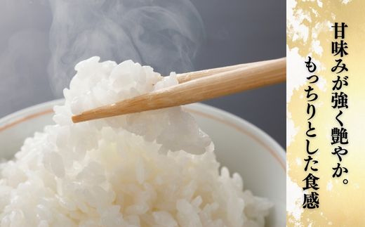 ＜3ヵ月定期便＞【令和7年産】 お米マイスターセレクト茨城産コシヒカリ(精米10kg) | 茨城県 龍ケ崎市 お米 ごはん 白米 ご飯 コシヒカリ お米マイスター 厳選米 人気 茨城県産 龍ヶ崎市産 農家直送 産地直送 精米 国産 ブランド米 おすすめ 甘みが強い ふっくら 艶やか