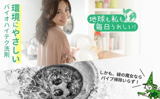 食洗機用洗剤 緑の魔女 オートキッチン 800g×12個セット