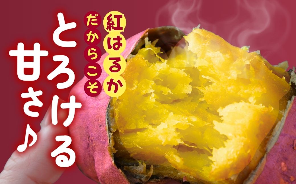 【訳あり】ゆうゆう農園の冷凍石焼き芋 2kg | 茨城県 龍ケ崎市冷凍焼き芋 やきいも 焼き芋 焼いも スイーツ ダイエット ギフト プレゼント 国産 無添加 茨城県産 さつまいも サツマイモ お芋 いも おやつ 干し芋 石焼き芋 紅はるか シルクスイート 紅はるか ねっとり 甘い 完熟 熟成 冷凍 冷やし焼き芋 訳あり	