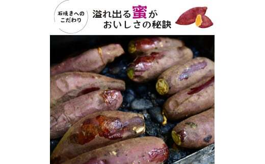 【訳あり】【数量限定】しっとりなめらか シルクスイートの冷凍石焼き芋1.5kg | 冷凍焼き芋 やきいも 焼き芋 焼いも スイーツ ダイエット 小分け ギフト プレゼント 国産 無添加 茨城県産 さつまいも サツマイモ お芋 いも おやつ 干し芋 石焼き芋 紅はるか シルクスイート 紅はるか ねっとり 甘い 完熟 熟成 冷凍 冷やし焼き芋 訳あり 茨城県 龍ケ崎市