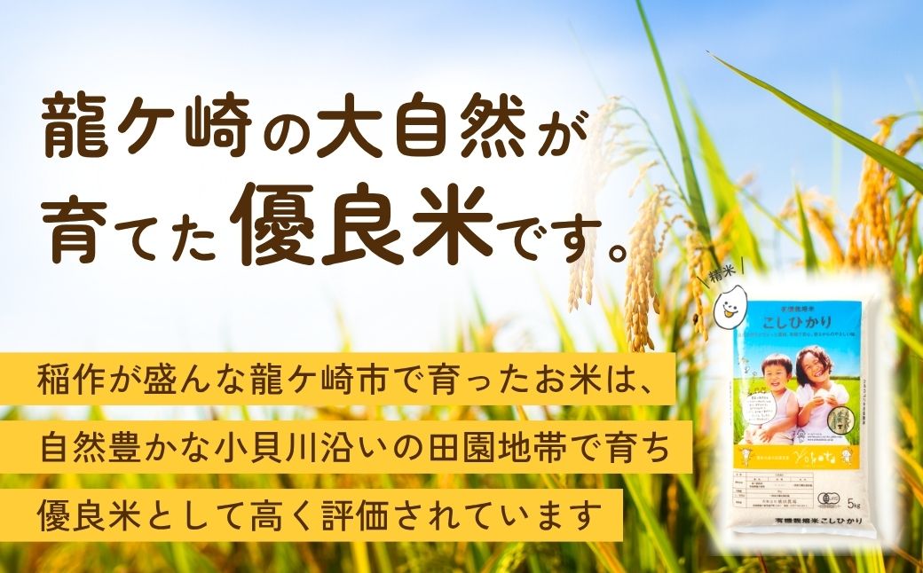 【令和7年度産】天皇賞受賞！横田農場の特別栽培米 コシヒカリ 5kg