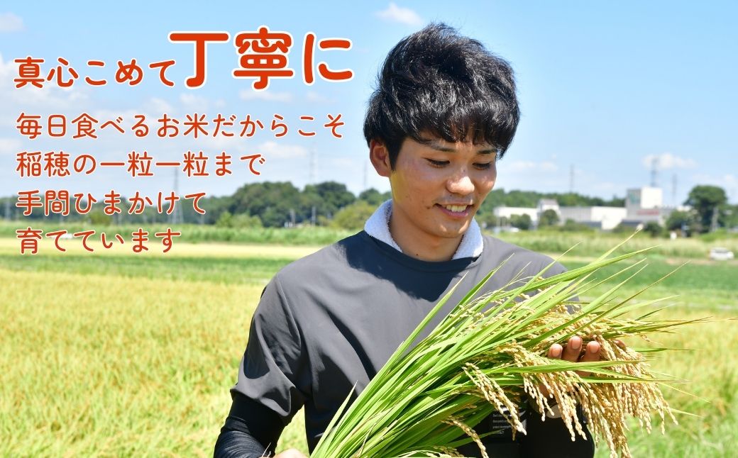 令和7年度新米 龍ケ崎の特別栽培米 コシヒカリ 10kg(5㎏×2袋) | こしひかり お米 米 こめ 白米 精米 新米 特別栽培米 冷めてもおいしい 美味しい こだわり おにぎり 茨城県 龍ケ崎市産