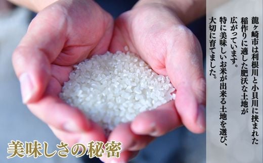 ＜6ヵ月定期便＞【令和7年産】 お米マイスターセレクト茨城産コシヒカリ(精米10kg) | 茨城県 龍ケ崎市 お米 ごはん 白米 ご飯 コシヒカリ お米マイスター 厳選米 人気 茨城県産 龍ヶ崎市産 農家直送 産地直送 精米 国産 ブランド米 おすすめ 甘みが強い ふっくら 艶やか