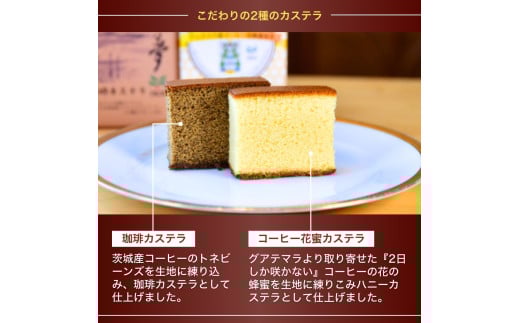 ジャパンバリスタチャンピオンシップ優勝者のいる珈琲専門店の自家焙煎コーヒー（DP）とカステラのセット【龍ケ崎市×つくば市×牛久市×利根町 共通返礼品】