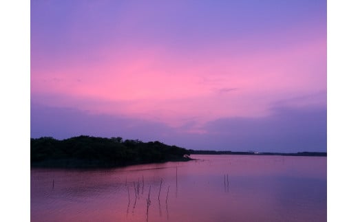 ＜鶴舞家＞「龍ケ崎市」で食べるうなぎ料理「うなぎ街道お食事券」5枚セット