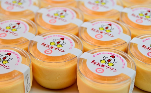 紅孔雀プリン10個セット