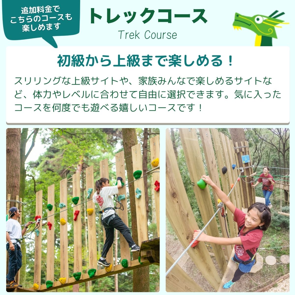 ～五感で楽しむ自然体験～フォレストアドベンチャー・龍ケ崎 ネットコース60分 １人分利用チケット