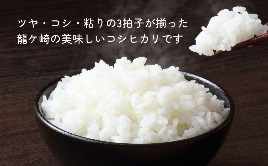 令和7年度新米 龍ケ崎の特別栽培米 コシヒカリ 10kg(5㎏×2袋) | こしひかり お米 米 こめ 白米 精米 新米 特別栽培米 冷めてもおいしい 美味しい こだわり おにぎり 茨城県 龍ケ崎市産