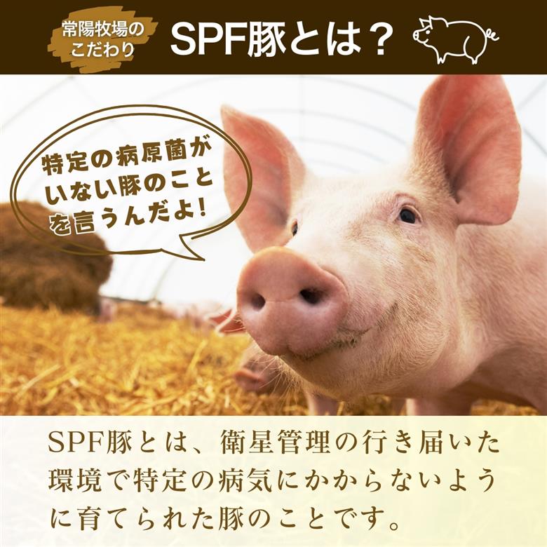茨城県産のお米を食べて育った常陽さん家の美味豚(SPF豚)ロース＆バラ肉セット 焼肉用 2kg