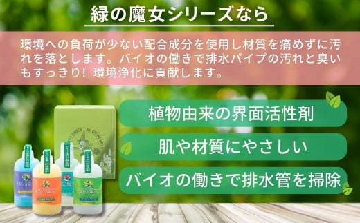 緑の魔女ギフトセット(デパート専用品)MA13×5個セット＜沖縄配送可能＞