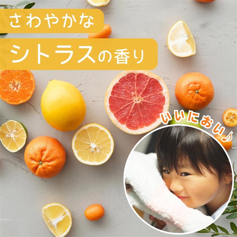 サンブライト 12kg (1.2kg×10個)