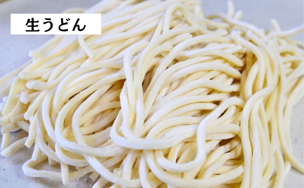 龍ケ崎名物 手造りの生うどん[(麺150g×3食・つゆ1パック)×3袋]