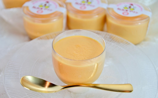 紅孔雀プリン10個セット