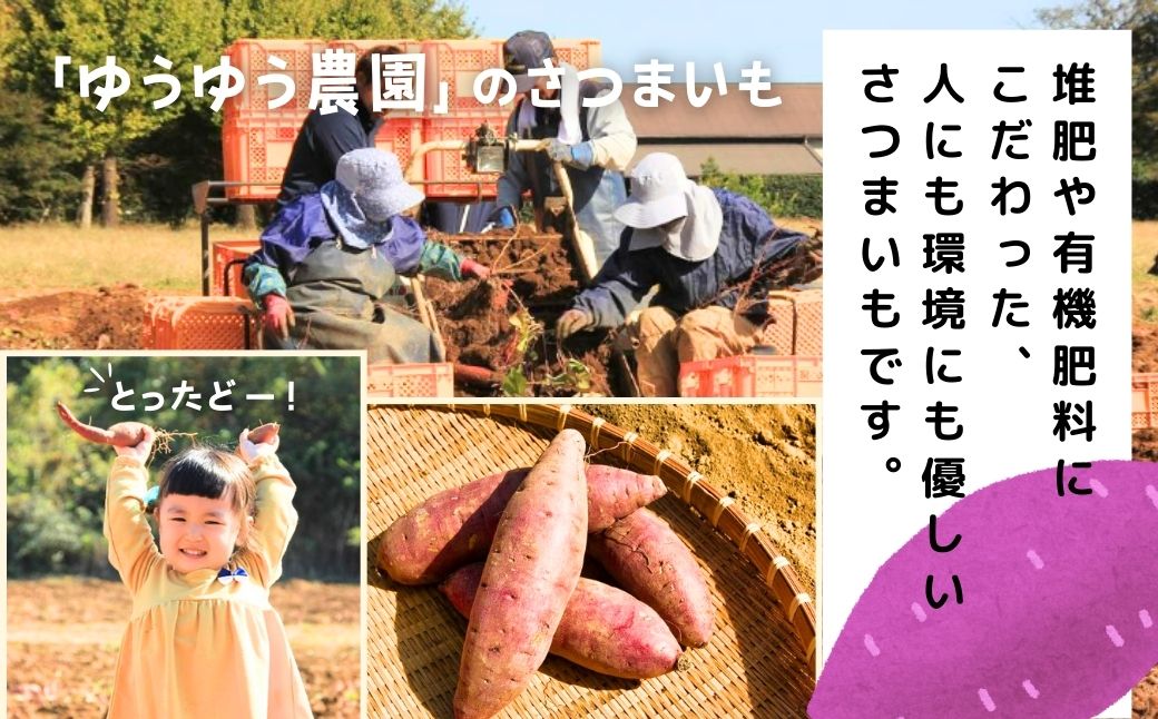 【簡易包装】干し芋 紅はるか ゆうゆう農園の干し芋 平干し 1kg