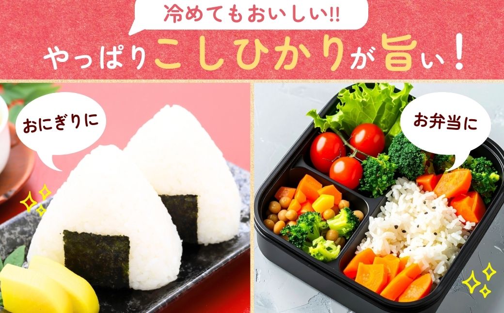 【令和7年度産】天皇賞受賞！横田農場の特別栽培米 コシヒカリ 5kg