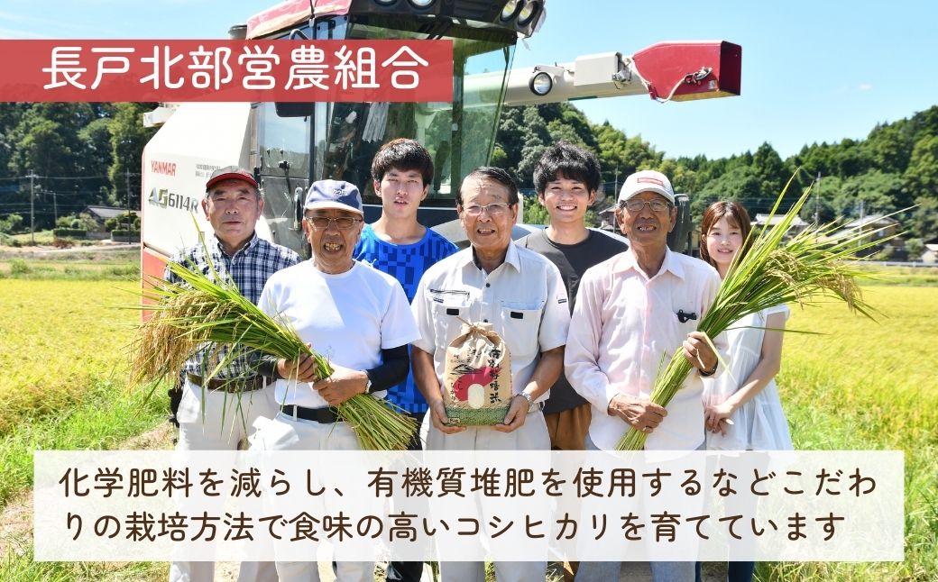 令和7年度新米 龍ケ崎の特別栽培米 コシヒカリ 5kg(5㎏×1袋) | こしひかり お米 米 こめ 白米 精米 新米 特別栽培米 冷めてもおいしい 美味しい こだわり おにぎり 茨城県 龍ケ崎市産