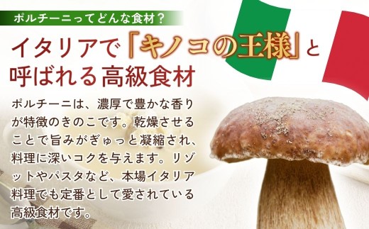 冷凍スープ ポルチーニクリームスープ 160g×12個  | ポルチーニ クリームスープ スープ きのこ キノコ 冷凍  惣菜 おかず レンジ レンチン 温めるだけ 簡単調理 粗挽き 茨城県 龍ケ崎市