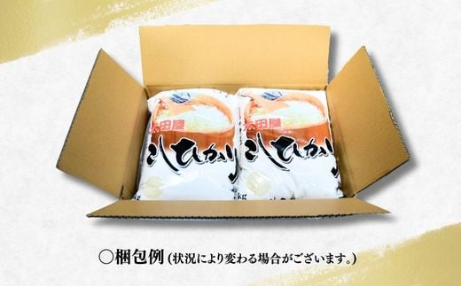 ＜6ヵ月定期便＞【令和7年産】 お米マイスターセレクト茨城産コシヒカリ(精米10kg) | 茨城県 龍ケ崎市 お米 ごはん 白米 ご飯 コシヒカリ お米マイスター 厳選米 人気 茨城県産 龍ヶ崎市産 農家直送 産地直送 精米 国産 ブランド米 おすすめ 甘みが強い ふっくら 艶やか