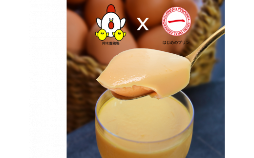 紅孔雀プリン10個セット