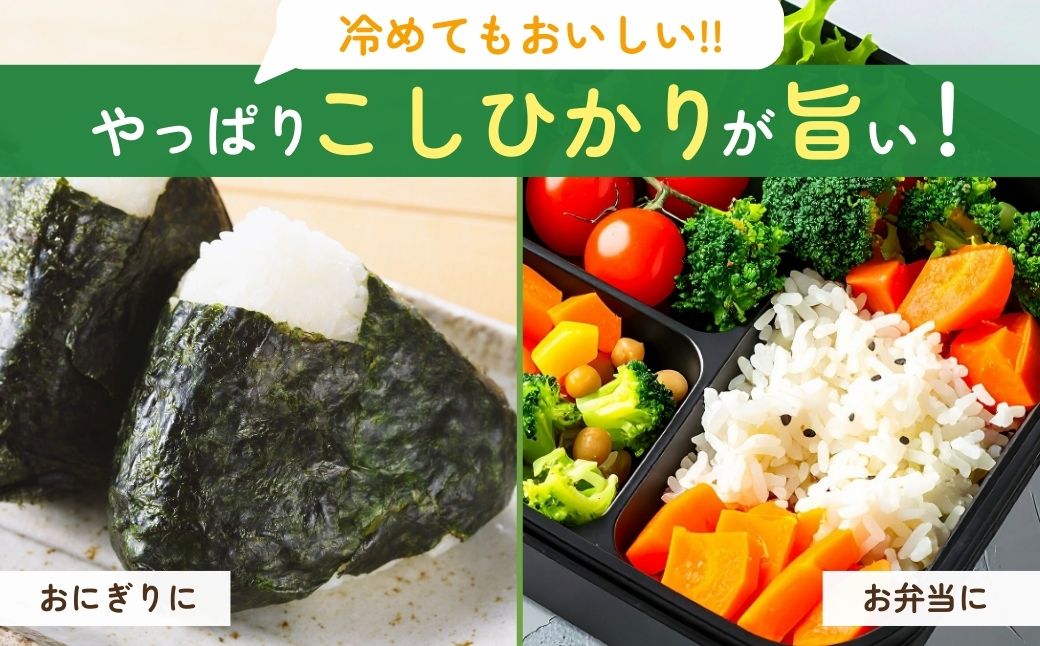 ＜3ヵ月定期便＞【令和7年度新米】龍ケ崎の特別栽培米 コシヒカリ 5kg ❙ こしひかり お米 米 こめ 白米 精米 新米 冷めてもおいしい 美味しい こだわり いばらきみどり認定 おにぎり 茨城県 龍ケ崎市産