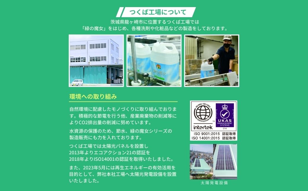 濃縮洗濯洗剤 ランドリーム 15kg (5kg×3個) 業務用 詰め替え