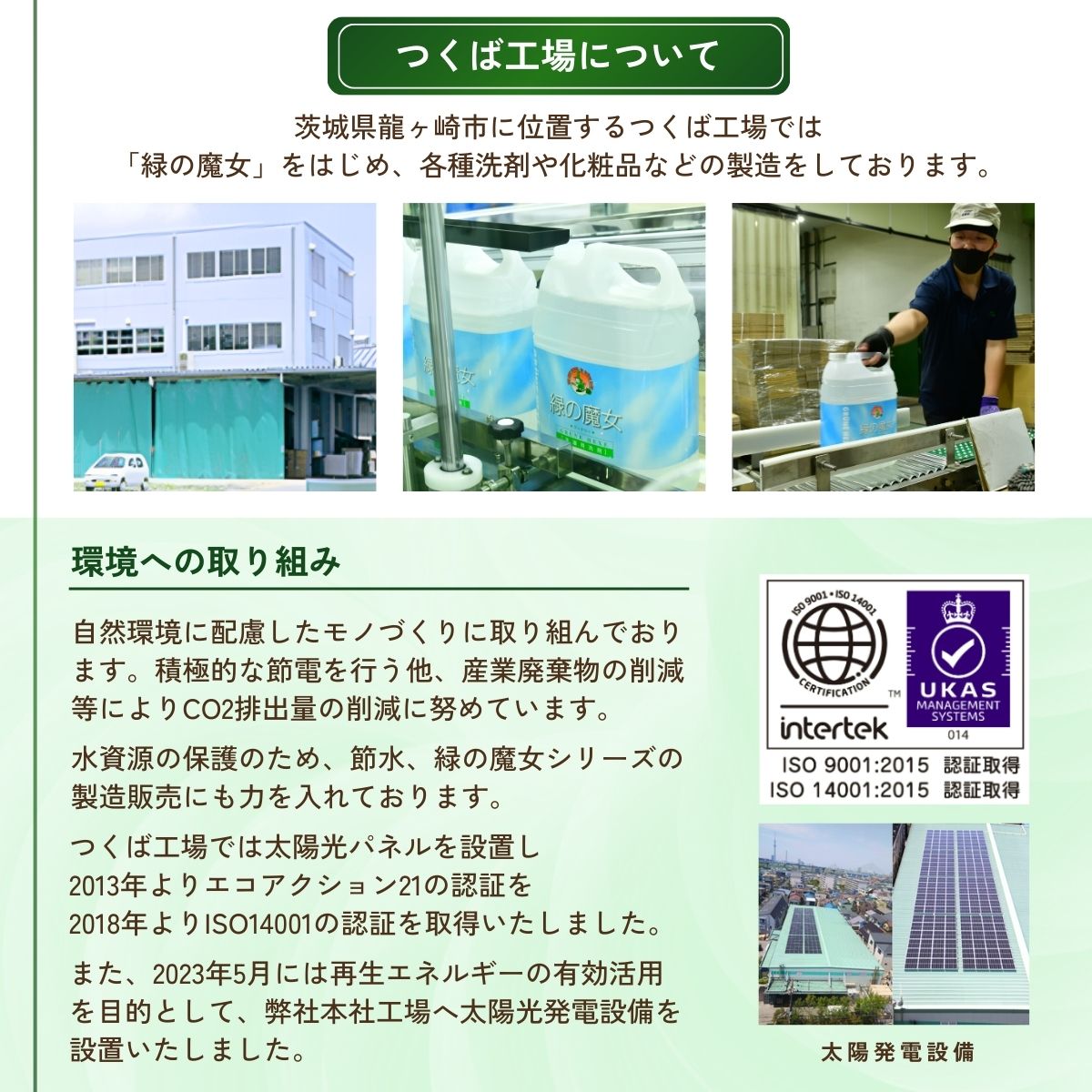 食洗機用洗剤 緑の魔女 オートキッチン 800g×4個セット