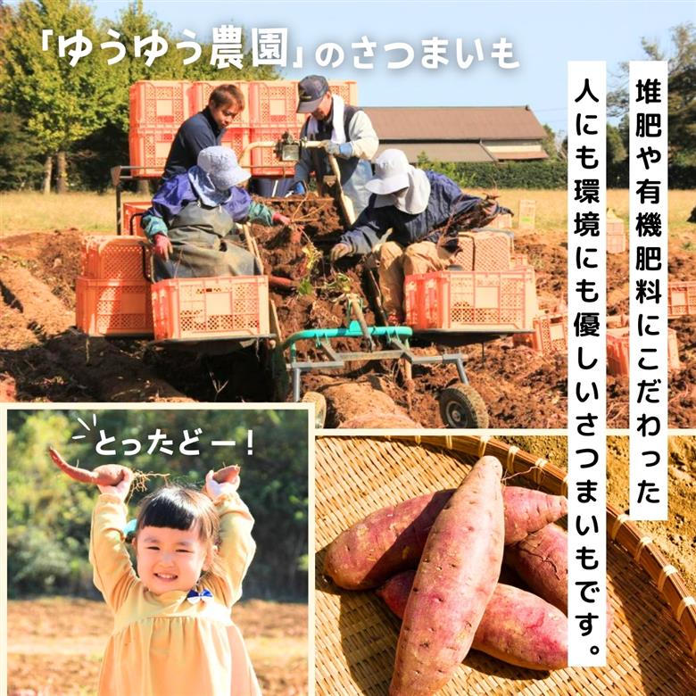 【簡易包装】紅はるかの丸干し芋1kg ｜ 訳あり干し芋 紅はるか干し芋 丸干し ほしいも 干しいも 国産 無添加 茨城県産 さつまいも サツマイモ お芋 おいも おやつ おかず 平干し お菓子 和菓子 スイーツ ほし芋 自然食品 ポテト 茨城県 龍ケ崎市