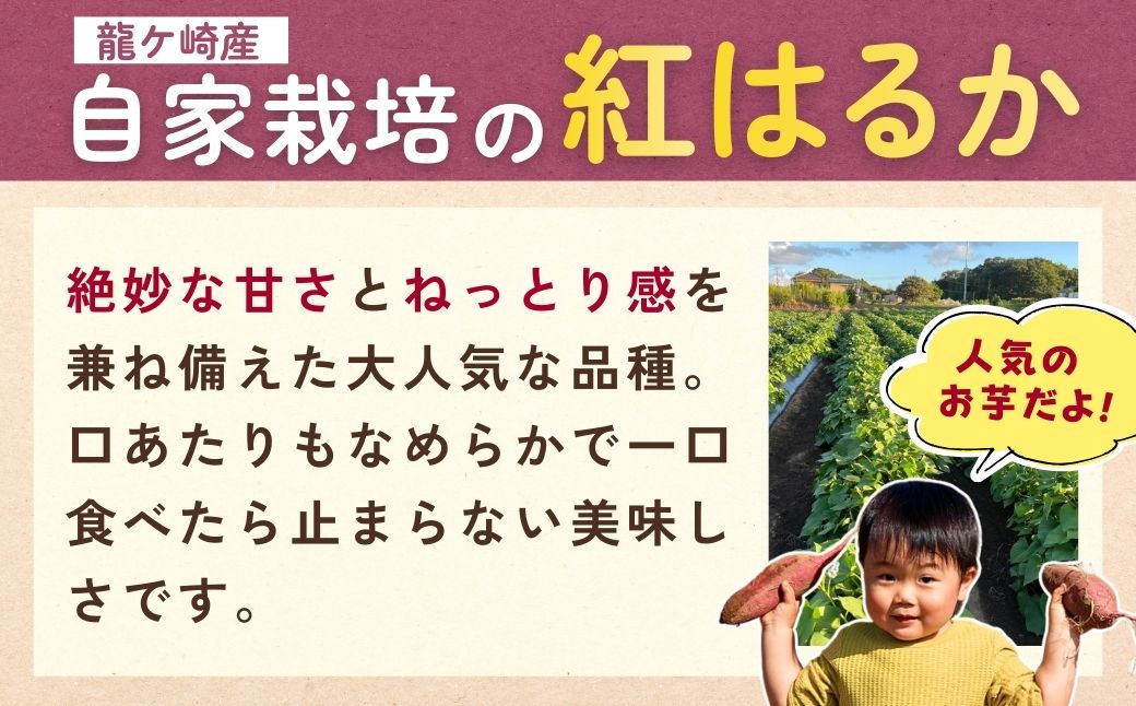 【訳あり】ゆうゆう農園の冷凍石焼き芋 3kg | 茨城県 龍ケ崎市冷凍焼き芋 やきいも 焼き芋 焼いも スイーツ ダイエット ギフト プレゼント 国産 無添加 茨城県産 さつまいも サツマイモ お芋 いも おやつ 干し芋 石焼き芋 紅はるか シルクスイート 紅はるか ねっとり 甘い 完熟 熟成 冷凍 冷やし焼き芋 訳あり