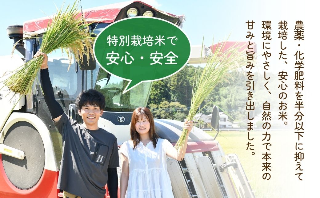 ＜3ヵ月定期便＞【令和7年度新米】龍ケ崎の特別栽培米 コシヒカリ 5kg ❙ こしひかり お米 米 こめ 白米 精米 新米 冷めてもおいしい 美味しい こだわり いばらきみどり認定 おにぎり 茨城県 龍ケ崎市産