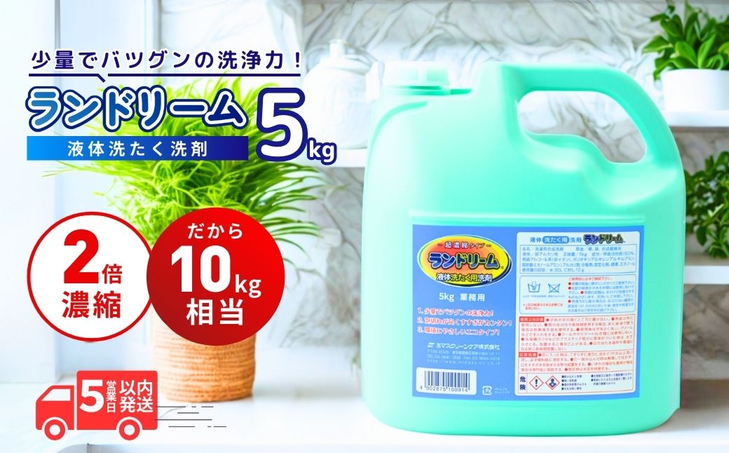 濃縮洗濯洗剤 ランドリーム 5kg (5kg×1個) 業務用 詰め替え