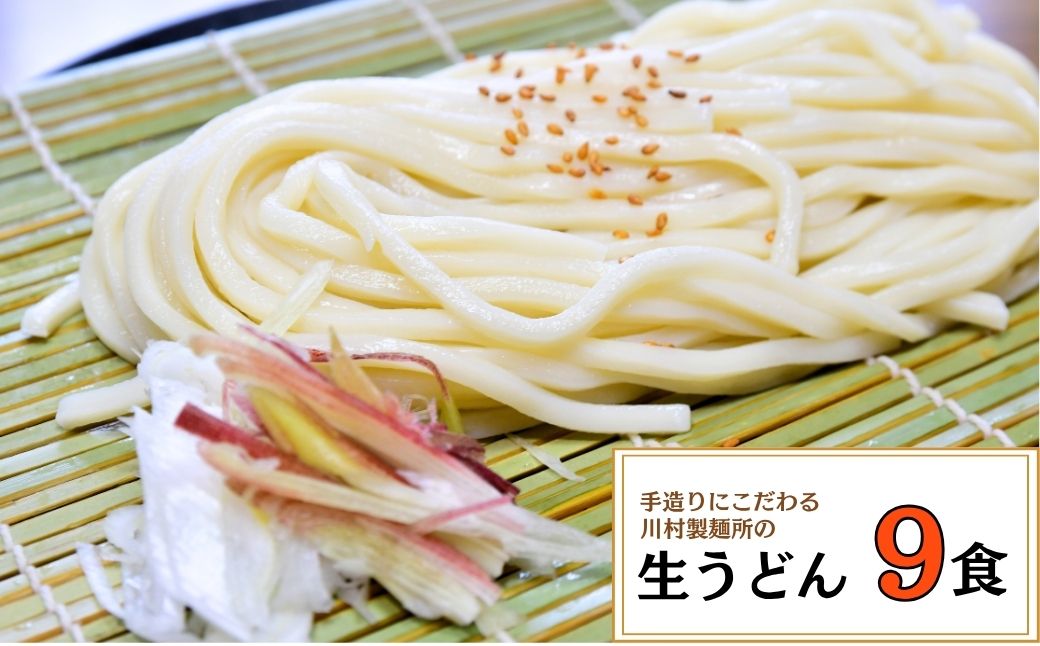 龍ケ崎名物 手造りの生うどん[(麺150g×3食・つゆ1パック)×3袋]