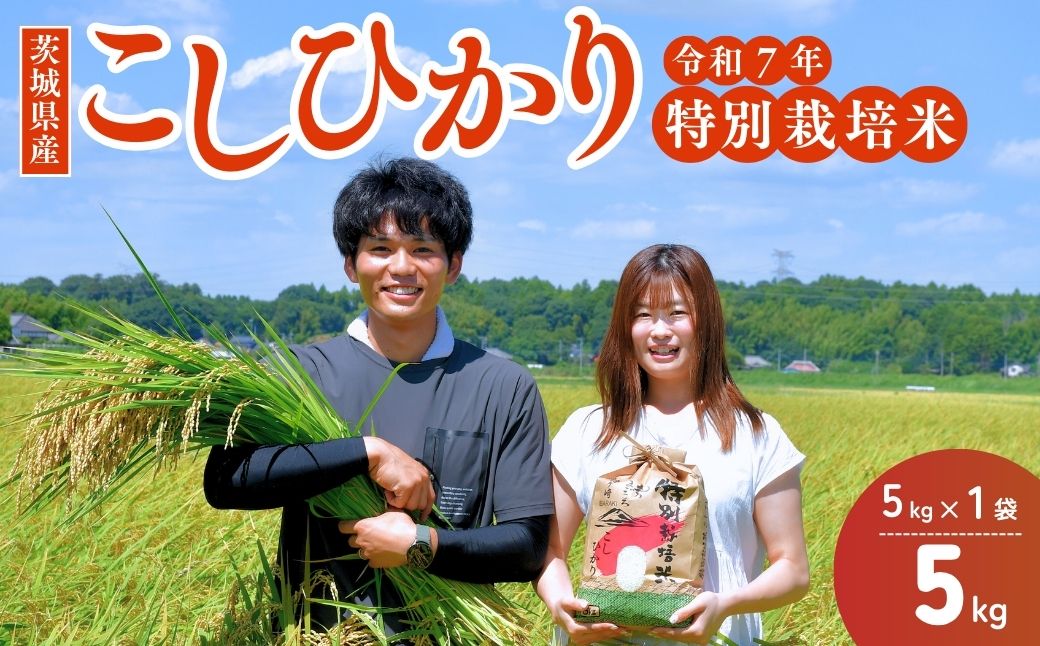 令和7年度新米 龍ケ崎の特別栽培米 コシヒカリ 5kg(5㎏×1袋) | こしひかり お米 米 こめ 白米 精米 新米 特別栽培米 冷めてもおいしい 美味しい こだわり おにぎり 茨城県 龍ケ崎市産