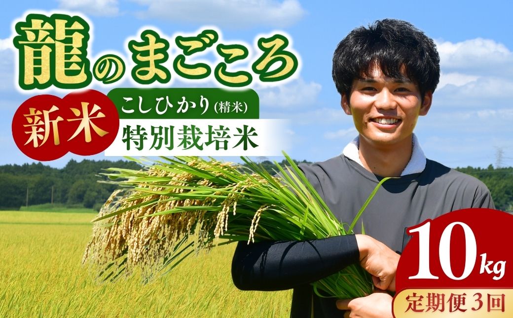  ＜3ヵ月定期便＞【令和7年度新米】龍ケ崎の特別栽培米 コシヒカリ 10kg(5kg×２袋) ❙ こしひかり お米 米 こめ 白米 精米 新米 冷めてもおいしい 美味しい こだわり いばらきみどり認定 おにぎり 茨城県 龍ケ崎市産