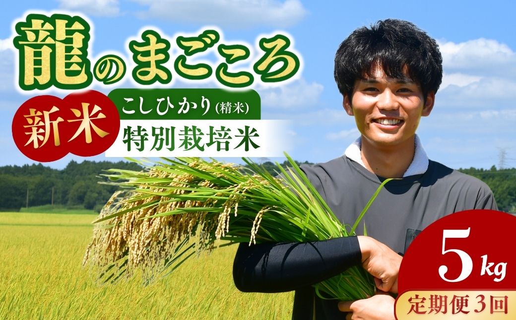 ＜3ヵ月定期便＞【令和7年度新米】龍ケ崎の特別栽培米 コシヒカリ 5kg ❙ こしひかり お米 米 こめ 白米 精米 新米 冷めてもおいしい 美味しい こだわり いばらきみどり認定 おにぎり 茨城県 龍ケ崎市産