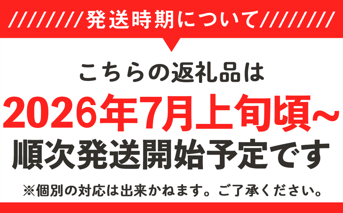 【 先行予約 】 茨城県産 黒小玉すいか 3kg（ 2個 ） 【 2026年7月上旬 ～ 7月下旬ごろ発送予定 】【 スイカ すいか 小玉すいか 小玉スイカ 黒玉スイカ 黒小玉すいか 果物 フルーツ スイカ割り 】