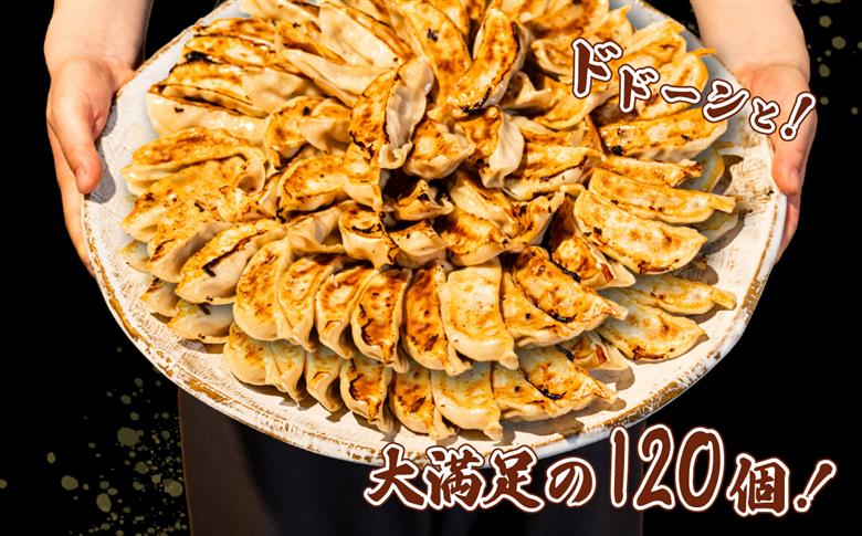 ローズポーク餃子 ドドーンと 120個 ( 冷凍 30個 × 4袋)【 茨城県産 ローズポーク 豚肉 キャベツ 北海道産小麦 春よ来 使用 もちもち ぷりぷり 皮 ギョウザ ギョーザ チャオズ 中華 餃子人気 飲茶 】