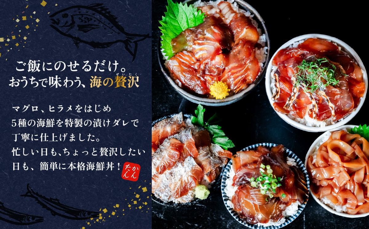 海鮮漬け丼5種セット 10パック マグロ ヒラメ 海鮮丼 10パック | 10,000円