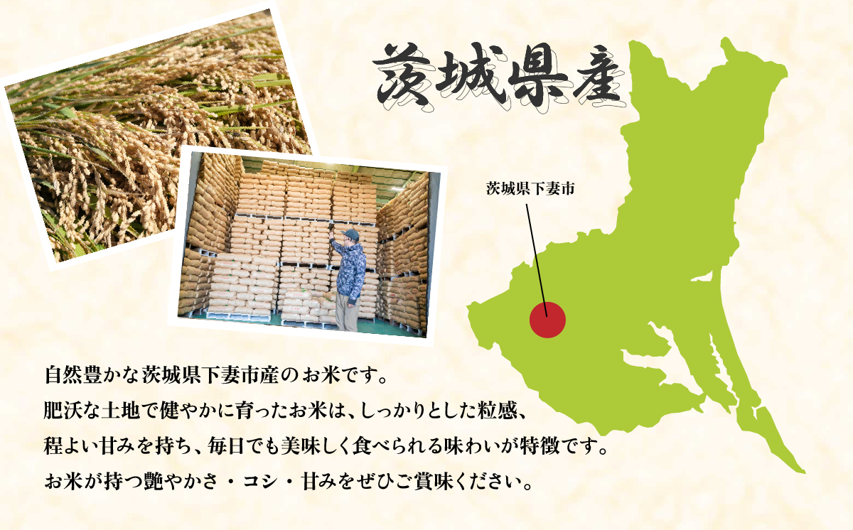 【最短7日発送】玄米 コシヒカリ 10kg 茨城県下妻市産 【 お米 米 ご飯 こめ コシヒカリ 令和7年産 茨城県産 】 玄米コシヒカリ10kg | 17,000円