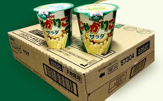 カルビー じゃがりこ サラダ 1箱 （ 12個 ）【 下妻工場産 】【 お菓子 おやつ ポテト じゃがいも 人気 ふるさと納税 サラダ味 】