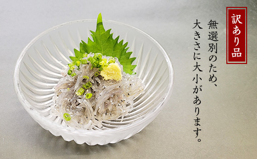 【先行受付】【 訳あり 】 生しらす 1kg 【 TV等で話題の凍眠 （ 急速冷凍 ） 】【 しらす シラス 海鮮丼 冷凍 凍眠 お寿司 青魚 しらす丼 】[SZR]