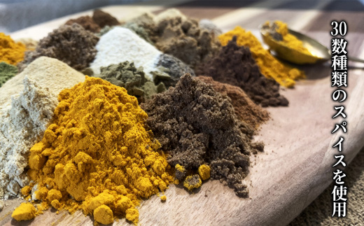 【 常陸牛 】 牛すじカレー 200ｇ × 6袋 【 牛すじ 常陸牛 カレー スパイス レトルト お手軽 本格 牛肉 カレーライス 】[SZR]