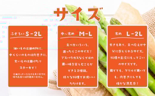 朝採りアスパラガス 1kg S ～ 2Lサイズ ( ふぞろい )  ハウス栽培 夏芽 26年6月下旬 ～ 9月発送 【 先行予約 グリーンアスパラ 野菜 サラダ 農家直送 産地直送 訳あり 不揃い ふぞろい 】 夏芽 S-2L 1kg | 7,000円