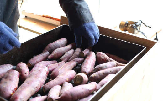 茨城県産 冷やし焼き芋 約1.1kg ( 約380g × 3パック )【 焼き芋 冷やし焼き芋 芋 スイーツ さつまいも シルクスイート 紅はるか おまかせ 】