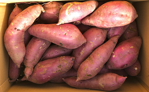 【 先行予約 】【 訳あり 】 茨城県産 熟成さつまいも 「 紅はるか 」 10kg 【 2026年11月下旬～年内までに出荷予定 】【 さつまいも 紅はるか 芋 サツマイモ 甘い 焼き芋 スイートポテト 茨城県産 大容量 不揃い ねっとり 】 紅はるか 10kg | 8,000円 (年内出荷分)