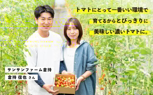 【 先行受付 】 ミニトマト 食べ比べセット 1kg ミニトマト 選手権 「 金賞 」 農家がつくる 【 10種以上 国産 旬 フルーツトマト 高糖度 カラフル 10000円以下 】 1月以降順次発送 | 9,000円
