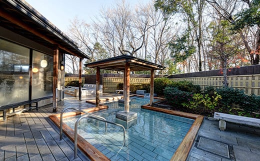 茨城県 しもつま温泉 「 ビアスパークしもつま 」 温泉入浴券 2枚 【 温泉 日帰り湯 チケット 券 利用券 利用チケット ホテル 地ビール 】