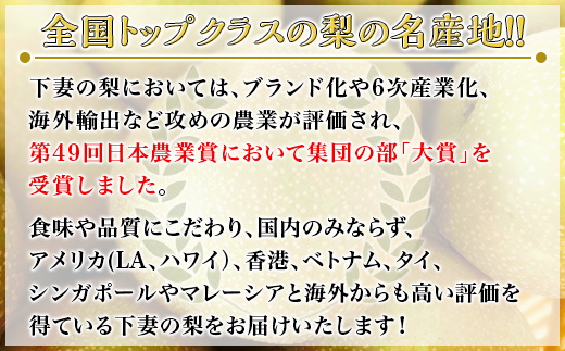【 先行予約 】 茨城県産 「 幸水梨 」 約5kg 【 2026年8月上旬 ～ 8月中旬にかけて発送予定 】【 こうすい 果物 くだもの フルーツ 国産 季節限定 人気 贈り物 お取り寄せ デザート 】