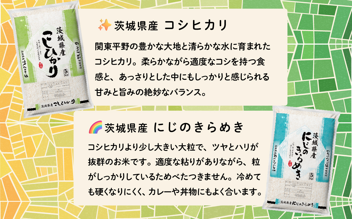 【2月発送】令和7年産 食べ比べ 10kg コシヒカリ にじのきらめき 精米 茨城県産 白米 精米 茨城県 お米 米 【2月発送】食べ比べ10kg | 19,000円