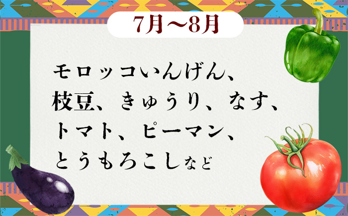 【 訳あり 】 お楽しみ野菜セット （ 9袋 ）【 フードロス対策 】【 野菜 詰め合わせ お任せ 訳あり フードロス 季節物 セット 山芋 パセリ かぶ 人参 里芋 たまねぎ 玉ねぎ ルッコラ ほうれん草 春菊 大根 芽キャベツ レタス じゃがいも さつまいも とうもろこし そら豆 枝豆 パクチー ビーツ ほうれん草 キャベツ ピーマン なすトマト かぼちゃ 】 【単品】お楽しみ野菜セット （ 9袋 ）｜寄付金額：9,000円